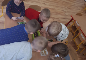 Siedmioro dzieci przy stoliku ogląda założone przez siebie hodowle, wysadzone cebulki i wysiane nasiona.