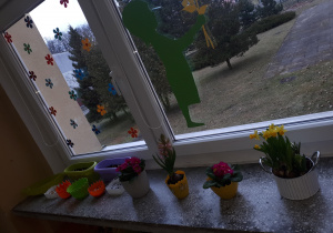 Rozrastający się wiosenny kącik przyrody na parapecie. Doniczki z cebulkami i nasionami, a także wiosenne kwiaty prymułki, hiacynty, narcyzy. W oknach papierowe, kolorowe kwiaty i sylweta dziewczynki trzymającej bukiet kwiatów.