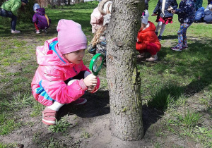 Dzieci obserwują z użyciem lupy drzewa.