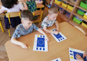 Wojtek i Olek opisują flagę Uni Europejskiej.