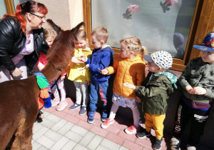 Dzieci stoją w rządku patrzą na zwierzę