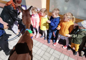 Dzieci oglądają zwierzątko