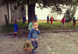 Dzieci zbierają kasztany do koszyczkow