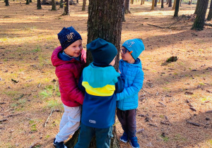 Chłopcy przytulają drzewo.