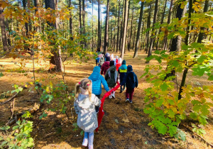 Przedszkolaki spacerują po lesie.