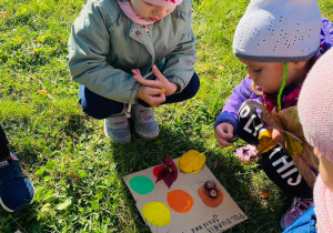 Dziewczynki układają na planszach zebrane dary jesieni.
