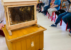 Pszczelarz prezentuje dzieciom prawdziwe pszczoły za szkłem.