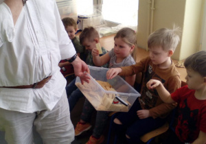Pan częstuje dzieci wafelkami, które posmaruje miodem , ulubionym przysmakiem mrówek.