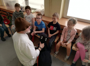 Fascynujący świąt mrówek w gr V