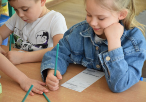 Zdjęcie 14 na 17