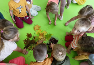 Dzieci oglądają dary jesieni