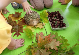 Dzieci oglądają zgromadzone dary jesieni