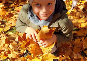 Chłopiec pozuje na tle jesiennych liści