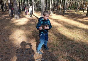 Chłopiec z szyszkami w lesie.