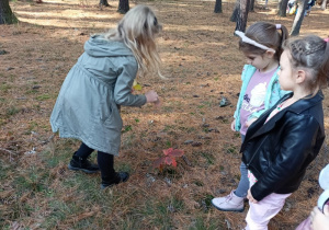 Trzy dziewczynki porównują kolory liści.