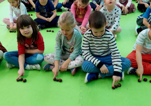 Dzieci siedzą w rzędzie przeliczają kasztany