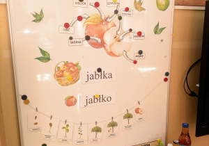 Tablica przedstawiająca budowę jabłka, a także etapy rozwoju od nasiona po owocujące drzewo.