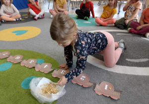 Dziecko układa pestki dyni na odpowiednim obrazku.