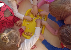 Dzieci oddzielają ziarenka fasoli i grochu.