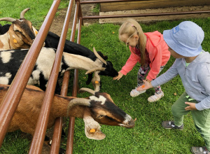 Wycieczka do mini zoo "Dobronianka" (grupa III)