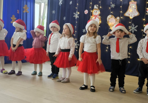 Zdjęcie 3 na 24