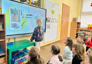 Zdjęcie 16 na 38
