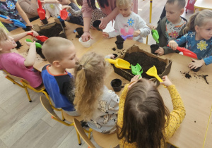 Zdjęcie 29 na 30