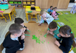 Zdjęcie 42 na 74