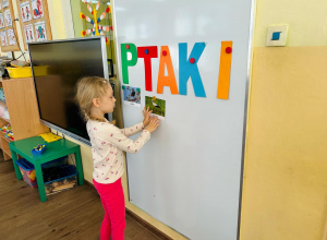 Międzynarodowy Dzień Ptaków (grupa IV)
