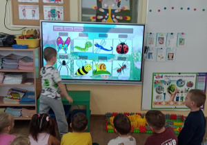 utrwalamy nazewnictwo owadów