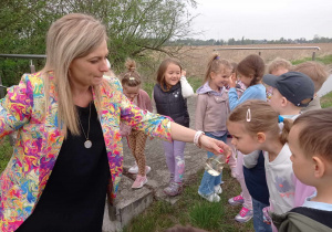 Zdjęcie 37 na 58