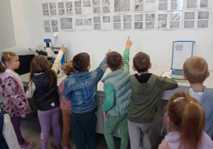 Zdjęcie 41 na 58