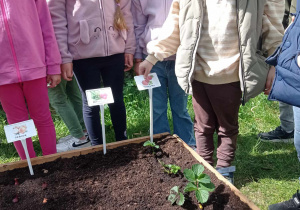 Zdjęcie 17 na 37