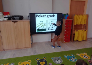 Zdjęcie 22 na 67