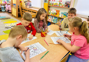 Zdjęcie 13 na 25