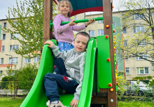 Zdjęcie 10 na 12