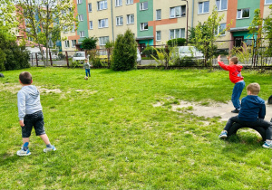 Zdjęcie 12 na 12