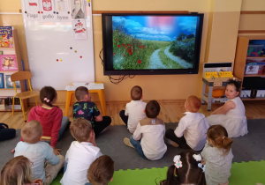 Zdjęcie 22 na 29