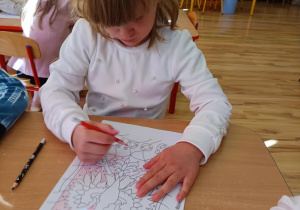 Zdjęcie 13 na 21