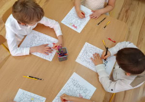 Zdjęcie 14 na 21