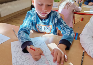 Zdjęcie 16 na 21