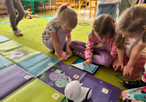 Zdjęcie 18 na 35