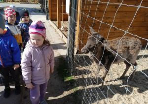 Zdjęcie 8 na 58