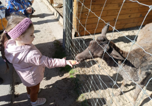 Zdjęcie 9 na 58