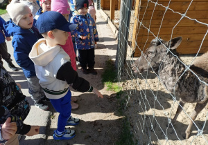 Zdjęcie 10 na 58