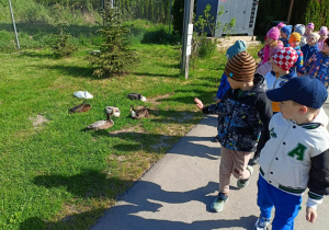 Zdjęcie 2 na 58