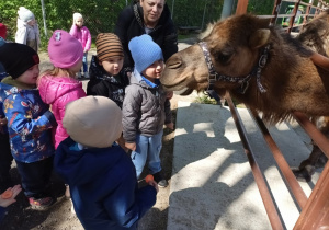 Zdjęcie 30 na 58