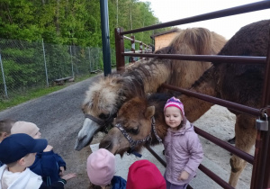 Zdjęcie 32 na 58