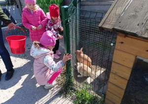 Zdjęcie 34 na 58