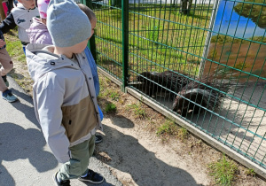 Zdjęcie 39 na 58